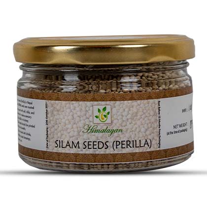 Himalayan Silam Seeds